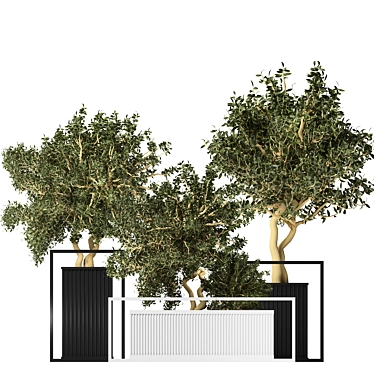 Contemporary Indoor Greenery 010 3D model image 1 