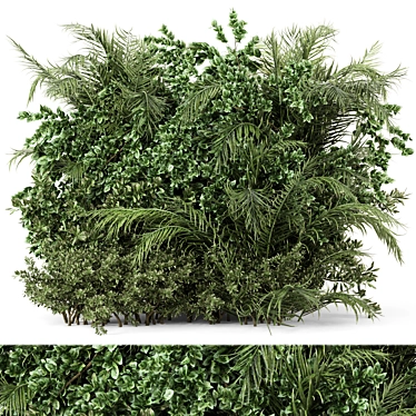 Outdoor Plants Bush Set 3D model image 1 