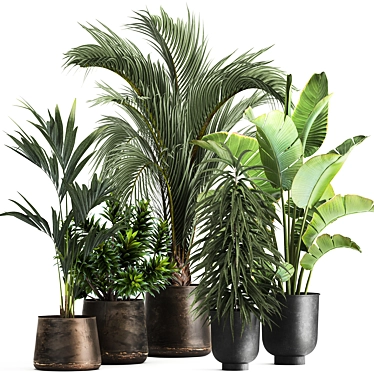 Tropical Plant Collection in Metal Vases 3D model image 1 