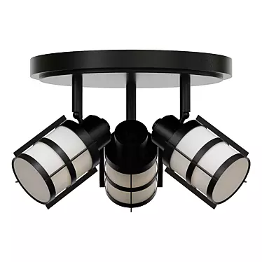 Winside 11.75" Flush Mount Light 3D model image 1 