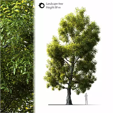 Elegant Landscape Tree - 2014 Edition 3D model image 1 
