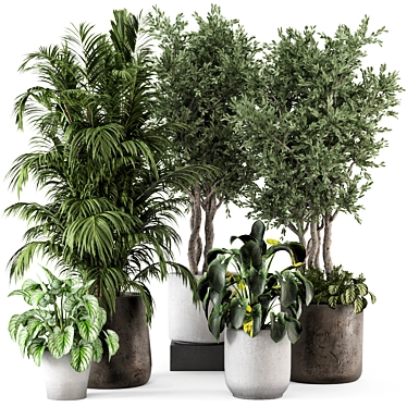 Rustic Concrete Pot Indoor Plants - Set 506 3D model image 1 