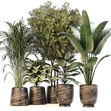 Green Oasis: 5 Indoor Plants Set 3D model image 1 