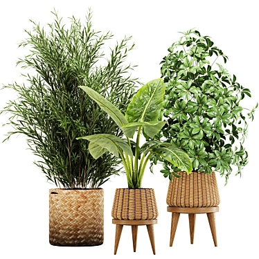 Lush Greens: Indoor Plant Set 3D model image 1 