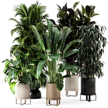 Ferm Living Bau Pot Large Indoor Plants 3D model image 1 