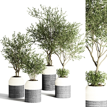 Modern Indoor Plant Collection 3D model image 1 