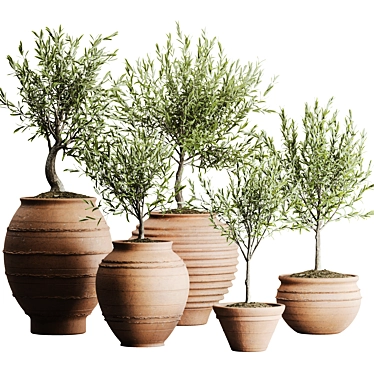 2015 Outdoor Plant Set: V-Ray, Corona, MAX 3D model image 1 