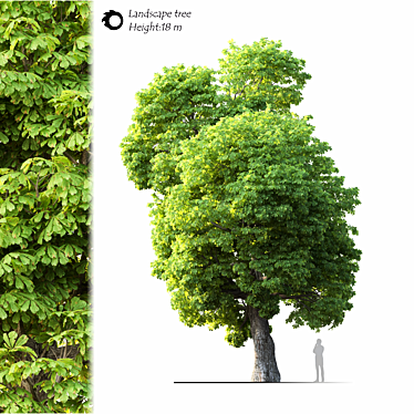  Majestic Landscape Tree: 2014 Edition 3D model image 1 