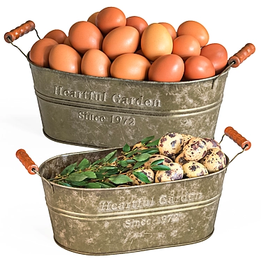 Elegant Egg Baskets: Chicken & Quail Eggs 3D model image 1 