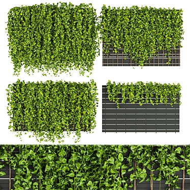 Fitowall Leaf Ivy - Collection Plant Vol 316 3D model image 1 