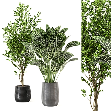 Tropical Plant Collection - Set 246 3D model image 1 