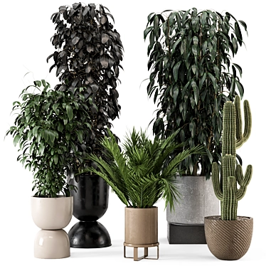 Modern Indoor Plants in Ferm Living Bau Pot Set 3D model image 1 