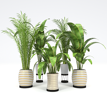 Tropical Plant Collection: Palm & Banana Trees 3D model image 1 