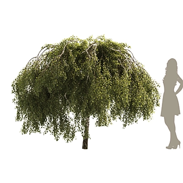Green Willow Tree: Detailed & Realistic 3D model image 1 