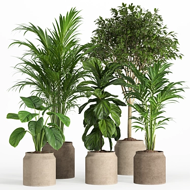 Pristine Indoor Oasis: Plant Set 018 3D model image 1 