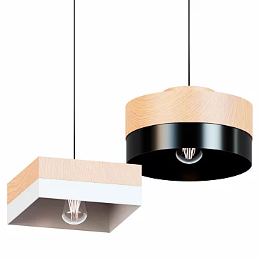 Modern Wood Pendant Lights 3D model image 1 