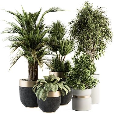 Oasis of Green: Indoor Tree & Plant Set 3D model image 1 