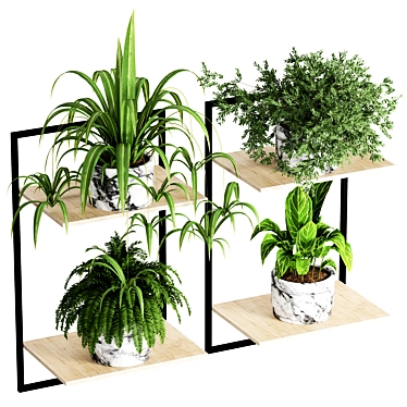 Indoor Plant Collection - 56 Varieties 3D model image 1 