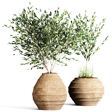 Indoor Plant Collection 57 3D model image 1 