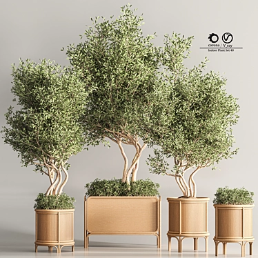 Greenery Deluxe Indoor Plant Set 3D model image 1 