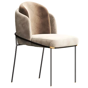 Luxurious FIL NOIR Chair: 2017 Version 3D model image 1 