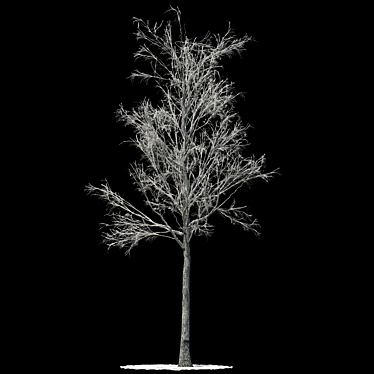 Snow-covered Aspen Tree Sculpture 3D model image 1 