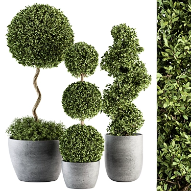 Outdoor Greenery Set: Topiary & Bush 3D model image 1 