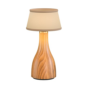 Bellingen Spring Table Lamp: Illuminate Your Space 3D model image 1 