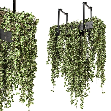 Metal Box Hanging Plants - Set 269 3D model image 1 