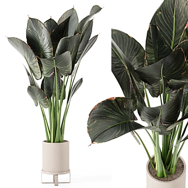Ferm Living Bau Pot Large - Set 555: Stylish Indoor Plants 3D model image 1 