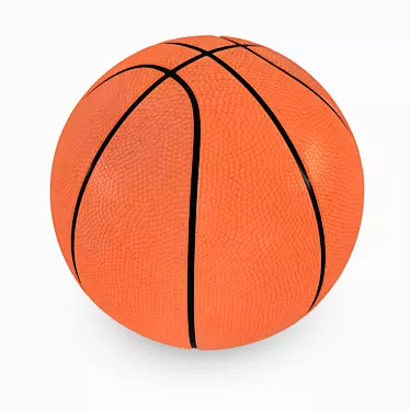 ProCourt Official Basketball - 30 cm 3D model image 1 