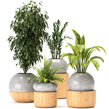 Green Oasis Indoor Plants Collection 3D model image 1 