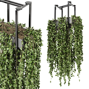 Metal Box Hanging Plants - Set 270 3D model image 1 
