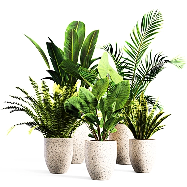 Botanical Bliss: Indoor Plant Set 3D model image 1 