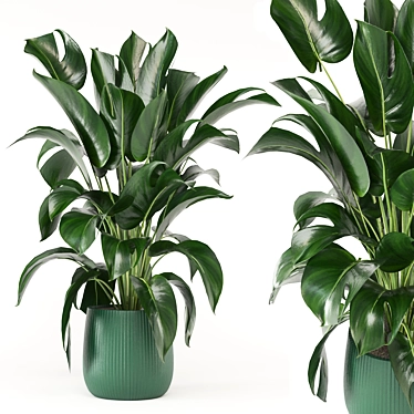 Green Oasis: Indoor Plant Collection 3D model image 1 