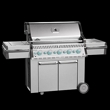 Napoleon Prestige Gas Grill (665 RSIB) 3D model image 1 