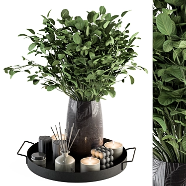 Elegant Gray and Green Set 3D model image 1 