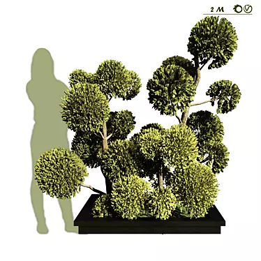 Polygonal Tree Outdoor Topiary 3D model image 1 