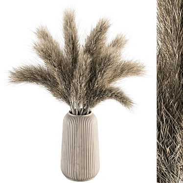 Pampas Perfection - Dried Floral Set 3D model image 1 