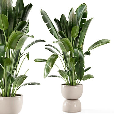 Rustic Concrete Pot Indoor Plants 3D model image 1 