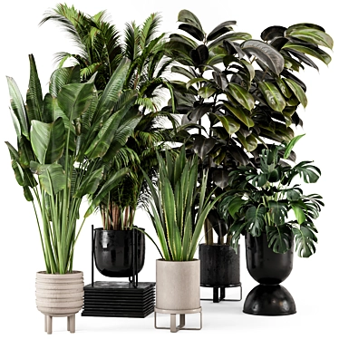 Ferm Living Indoor Plant Set 3D model image 1 