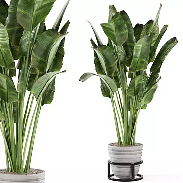 Rusty Concrete Pot Indoor Plants - Set 573 3D model image 1 