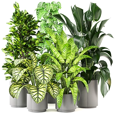Green Oasis Collection - Set of 280 Indoor Plants 3D model image 1 