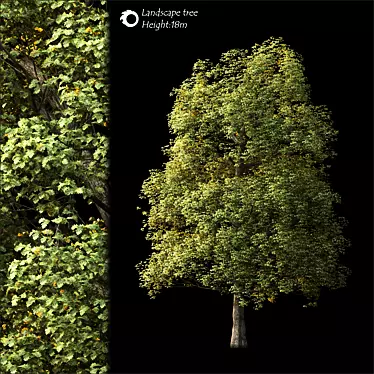Lush 2014 Landscape Tree 3D model image 1 
