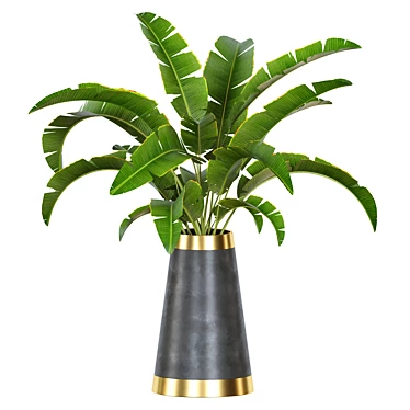 Houseplant Raw Umber