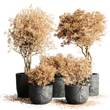 Autumn Vibes: 64 Stone Pots & Dry Tree Indoor/Outdoor Plant Collection 3D model image 1 