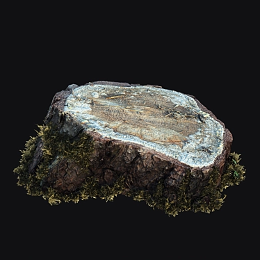 Mossy Photogrammetry Stump 3D model image 1 