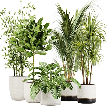 Tropical Paradise: Indoor Plant Set 3D model image 1 