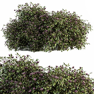 Spring Blossom Bush - Green/Purple 3D model image 1 