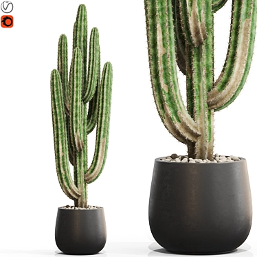 Greenery Assortment 694 Eco Display 3D model image 1 